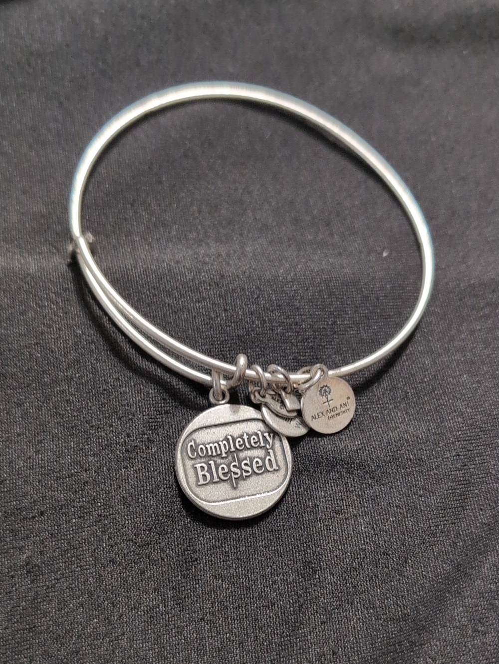 Alex and Ani Silver Completely Blessed Charm Bangle Bracelet